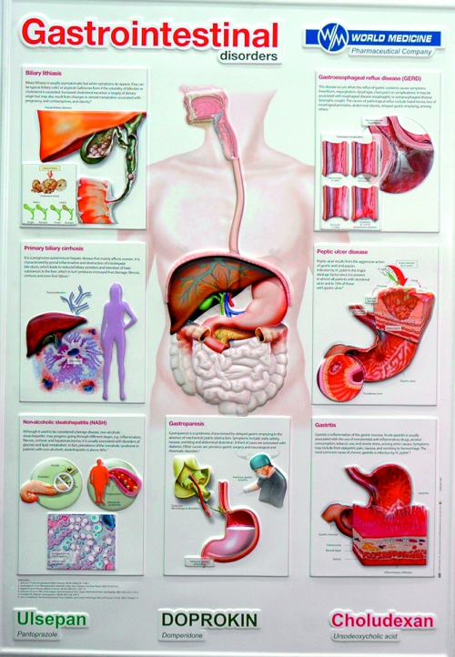 3D Medikal Poster